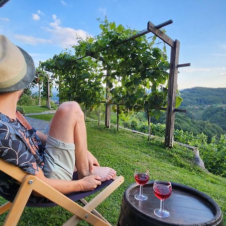 Vineyard Cottage Podrzaj Otočec Εξωτερικό φωτογραφία