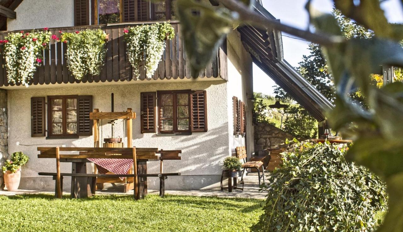 Vineyard Cottage Podrzaj Otočec Εξωτερικό φωτογραφία