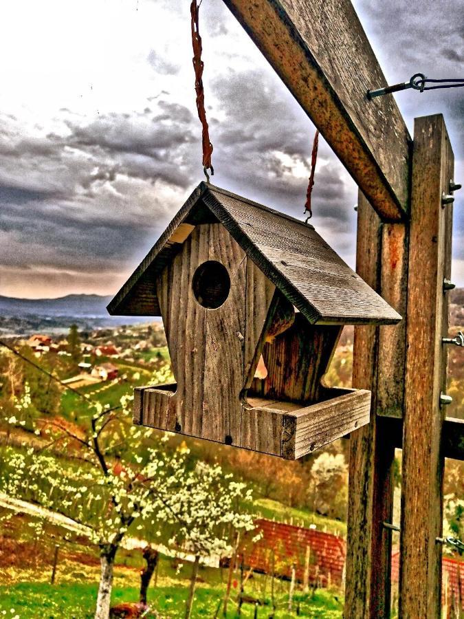 Vineyard Cottage Podrzaj Otočec Εξωτερικό φωτογραφία