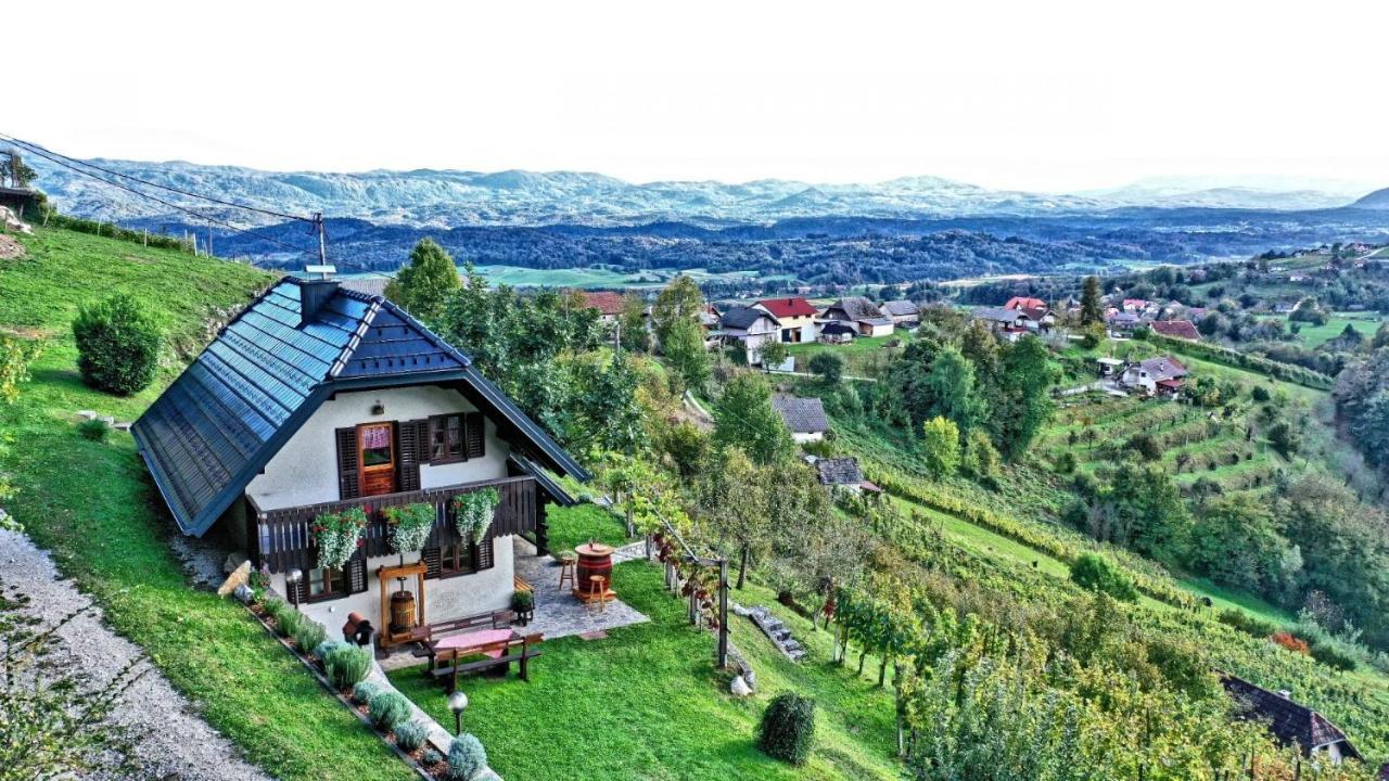 Vineyard Cottage Podrzaj Otočec Εξωτερικό φωτογραφία