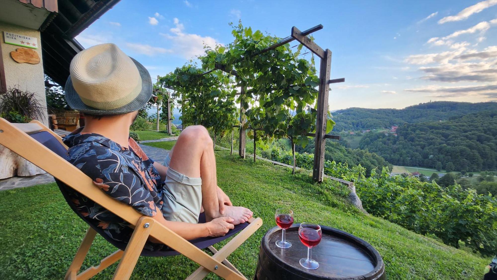 Vineyard Cottage Podrzaj Otočec Εξωτερικό φωτογραφία